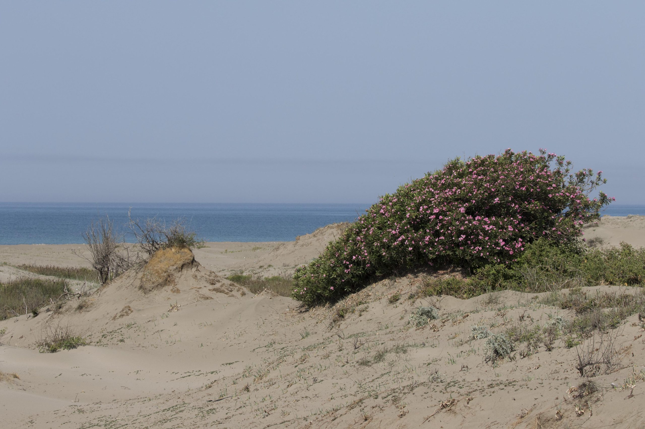 Adana Tuzla’da Keşfedilecek Güzellikler ve Gizli Noktalar