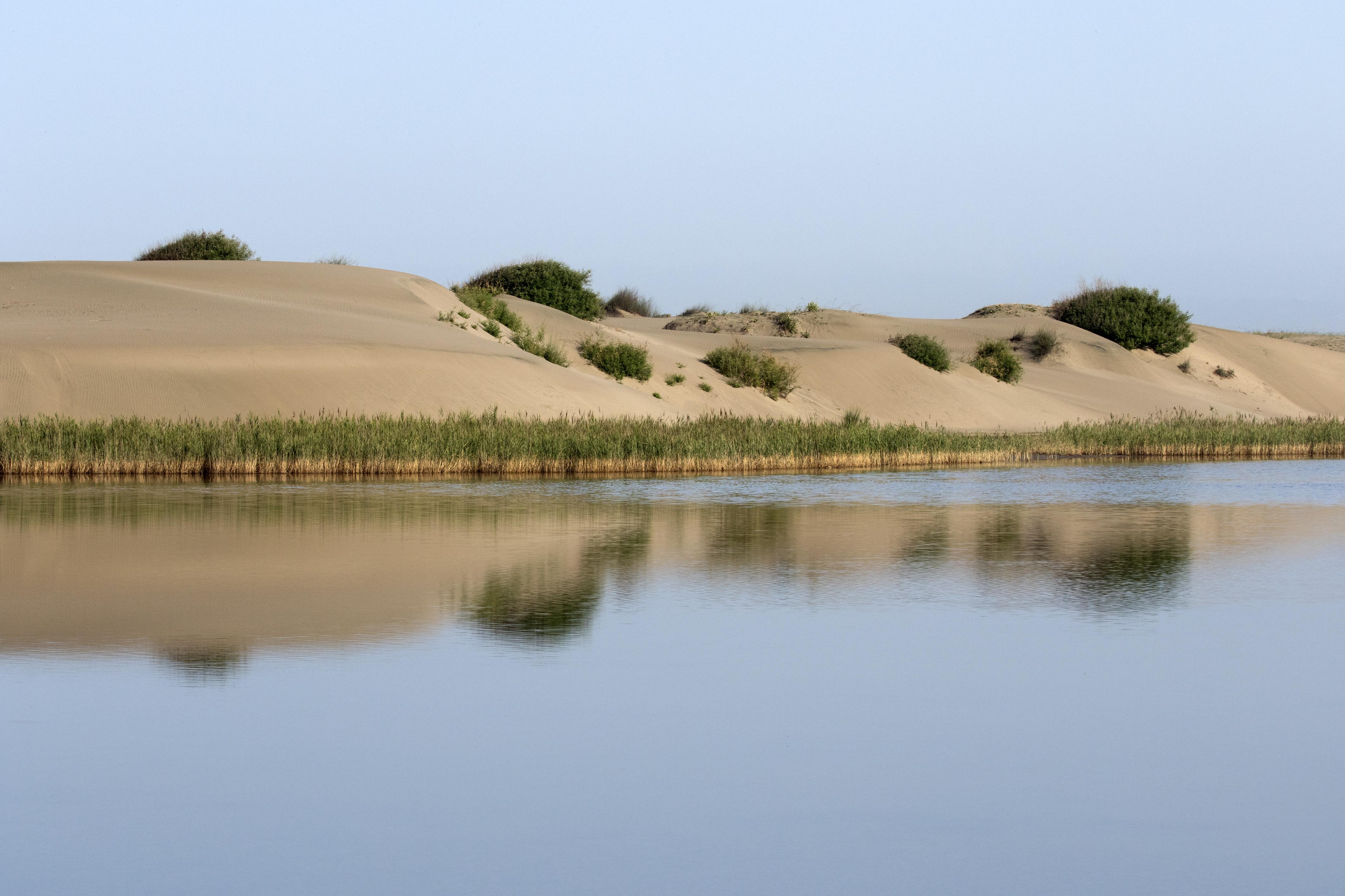 Adana‍ Tuzlanın Doğal Güzellikleri ve Saklı Cennetler