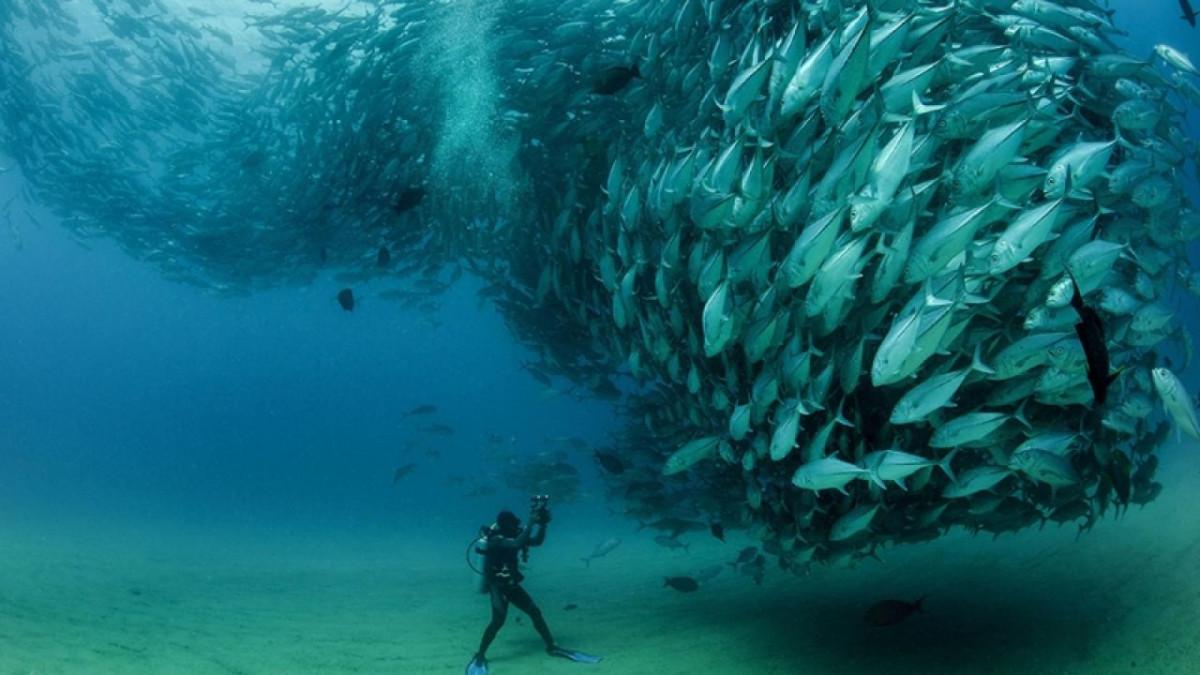 Büyüleyici‌ Denizaltı Keşifleri ⁤ve Mutlaka Görmeniz Gereken Noktalar