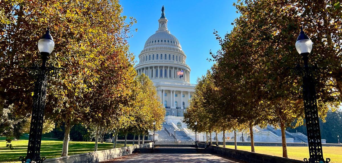 Washington ‍DCnin Tarihi‌ Dokusu ve ⁤Kültürel Zenginlikleri ile Tanışın