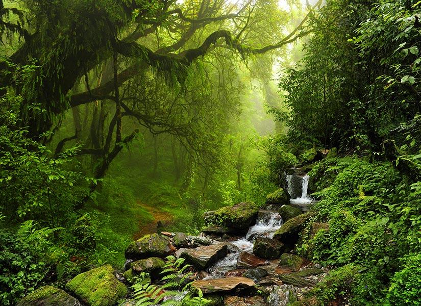 Keşif⁢ Yolunda Doğanın Kalbinde: Göz Alıcı Manzaralar ve Gizli Güzellikler