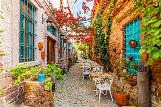 Ayvalık Altınovanın Doğal Güzellikleri ve Saklı Plajları