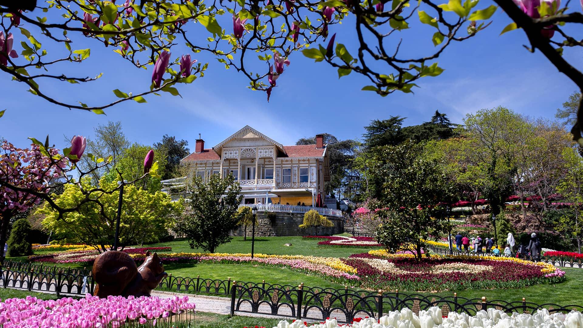 Emirganda Keşfedilmeyi Bekleyen Doğal⁣ Gözdemler ve⁤ Sürdürülebilir ‌Yaşam Alanları