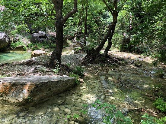 Gizli Cennetler: Doğanın Kucağında Unutulmuş Güzellikler